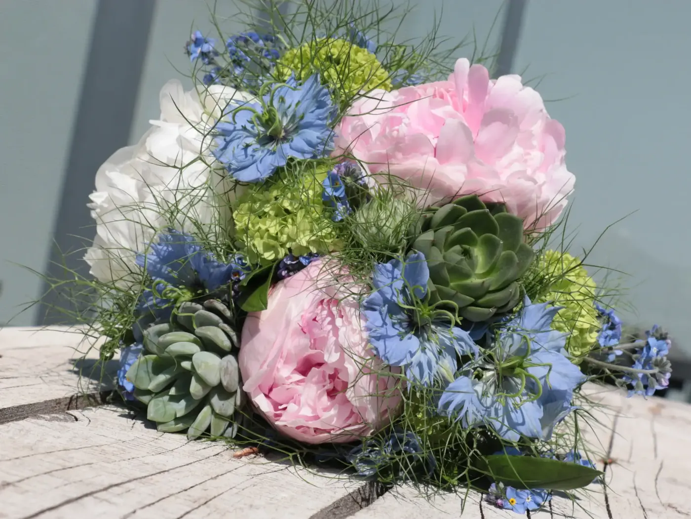 Pivoines Groot et Groot champ