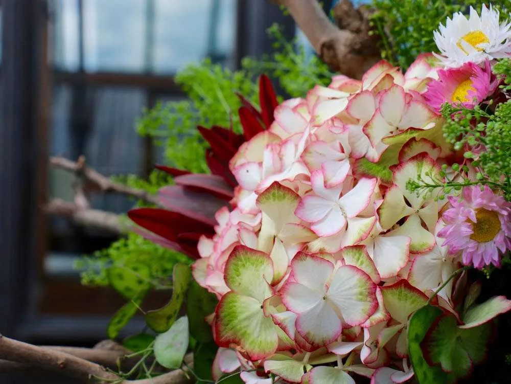Bouquet avec hortensia 'Light my Fire'