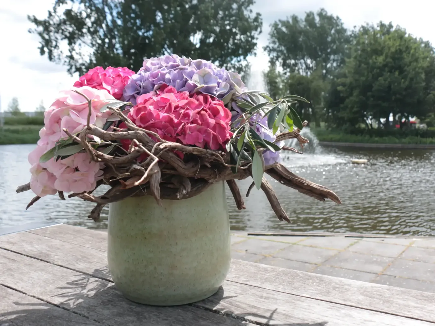 Hydrangea PerlaNova couleurs