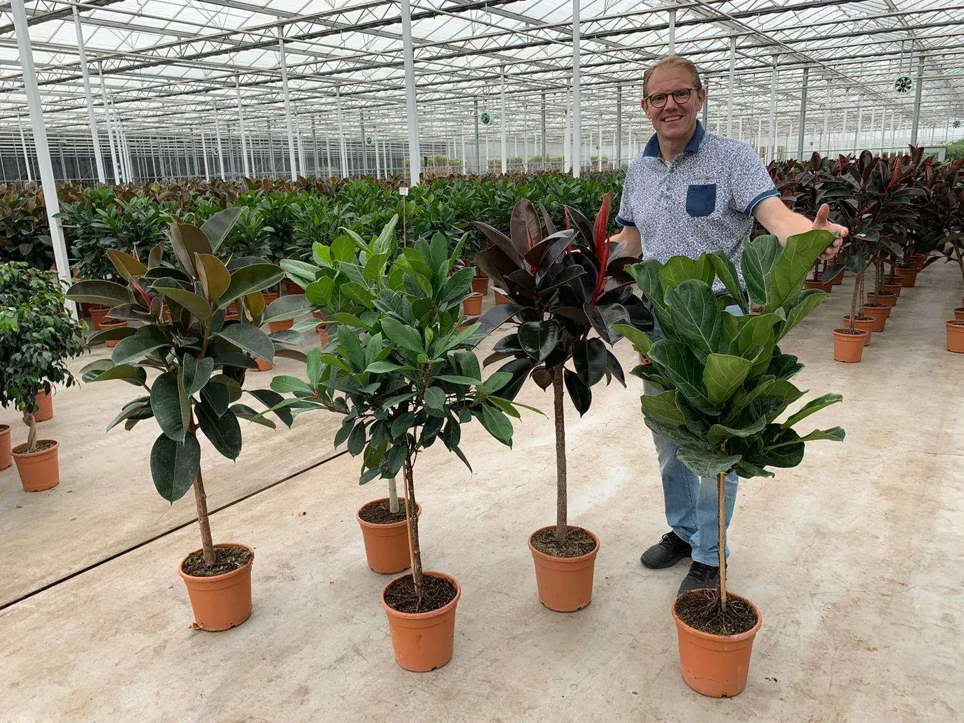 Rémi van Adrichem fondateur RM Plants