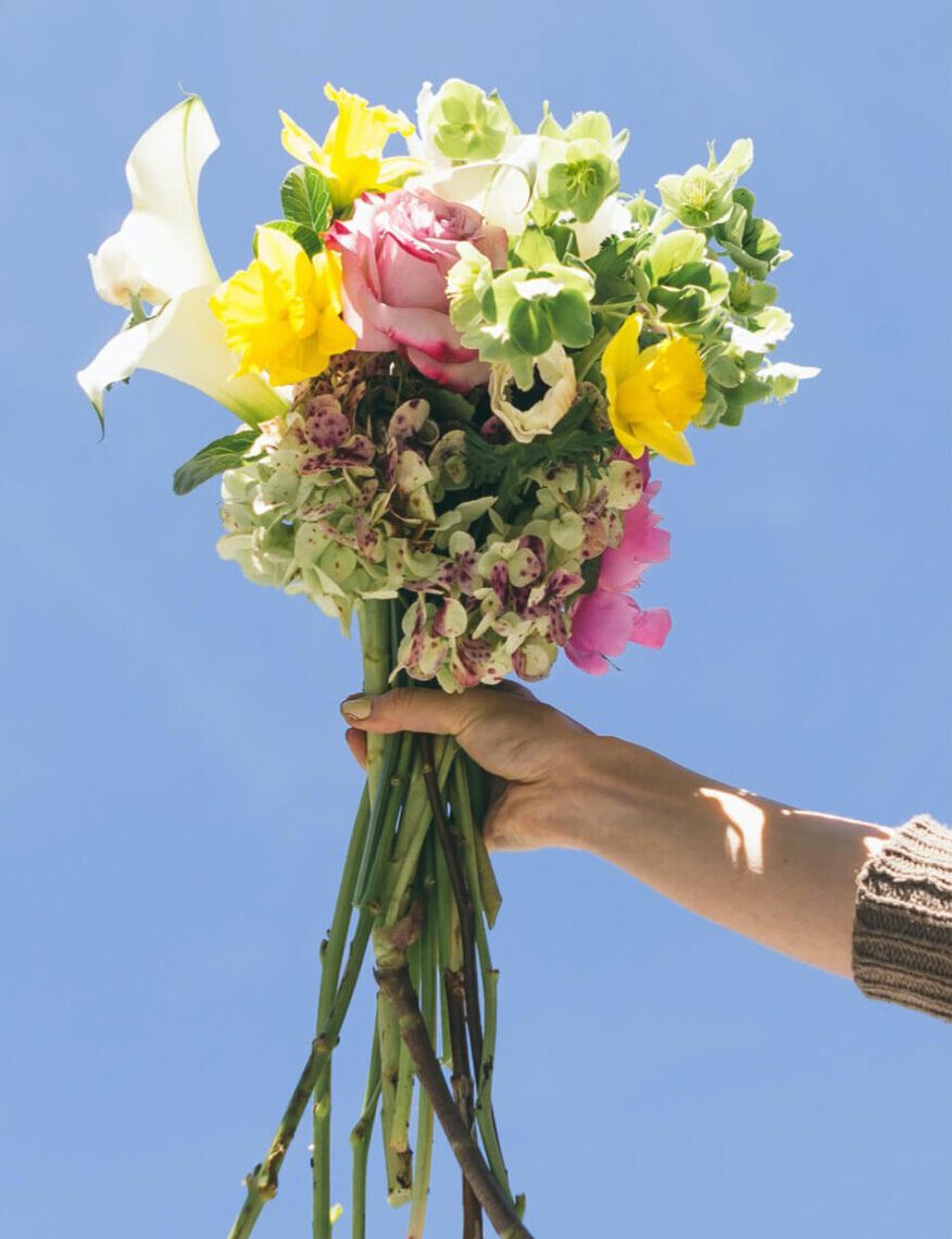 bouquet de fleurs grossiste en fleurs de hollande