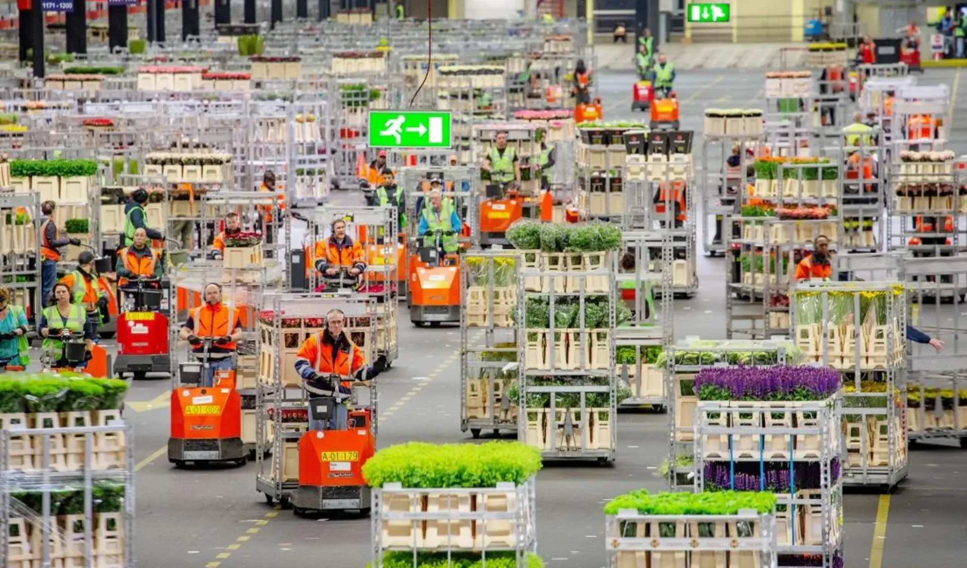 FAQ Fleurexpo